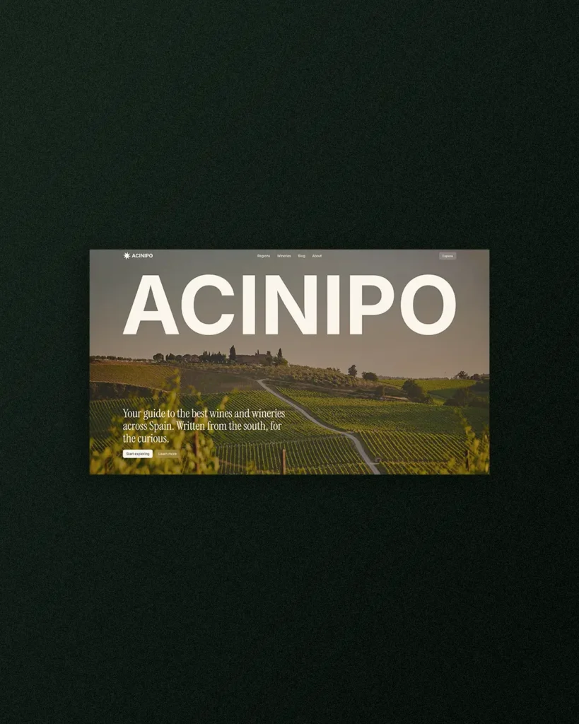 Diseño web del hero de la web Acinipo Wines