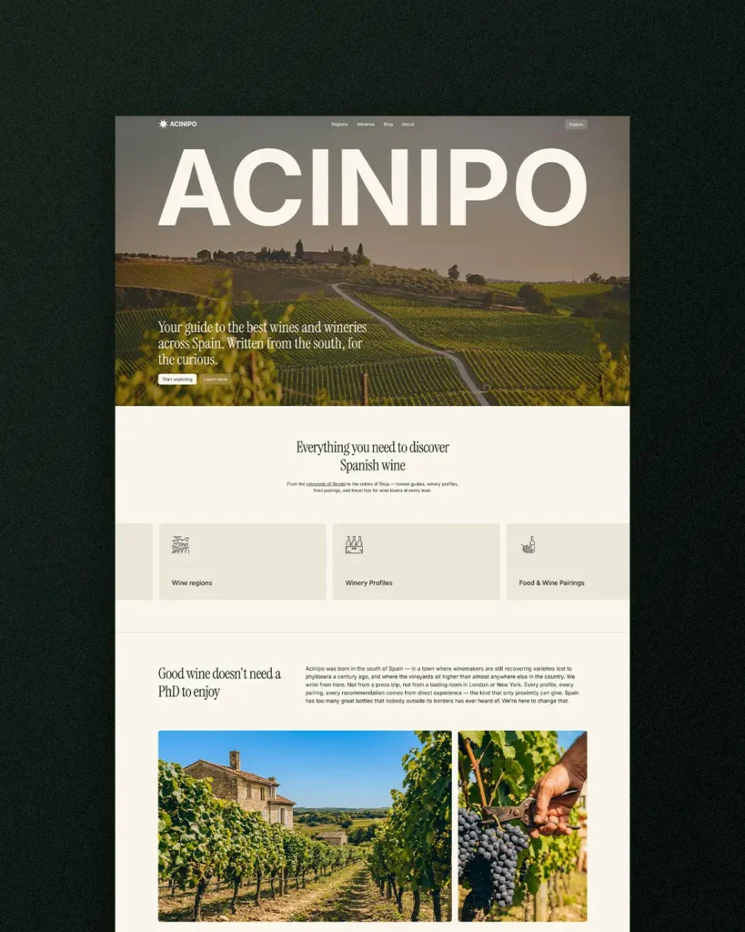 Diseño de la página de inicio de la web Acinipo Wines