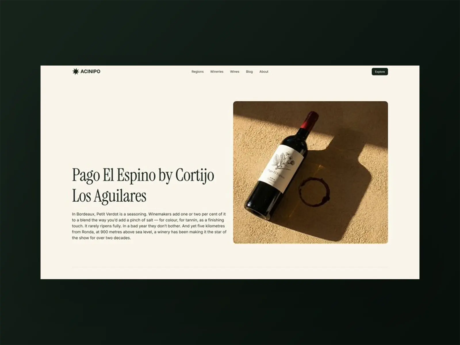 Diseño web de un post del blog de Acinipo