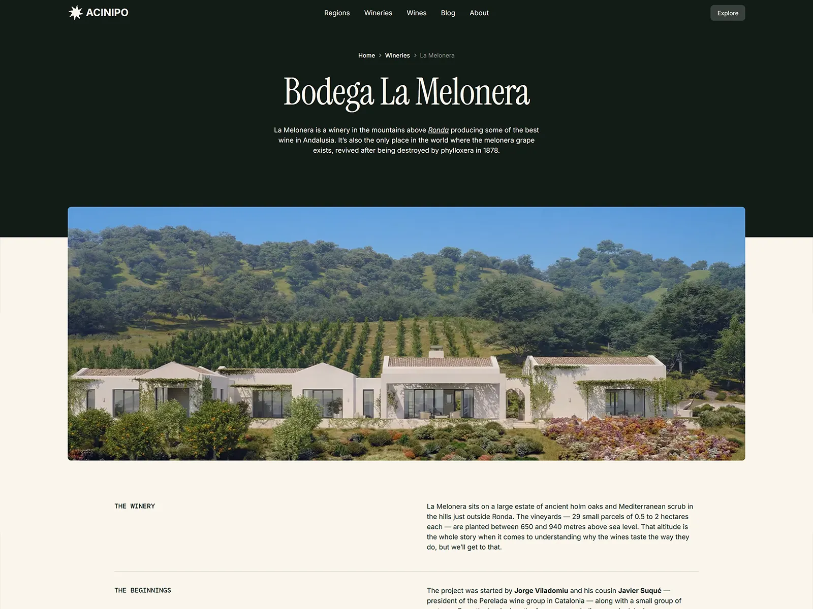 Diseño web de una bodega de vinos de Acinipo